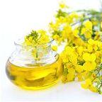 Crude Rapeseed Oil