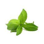 Stevia