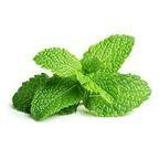 Peppermint Oil