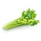 Celery