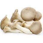 King Oyster Mushroom