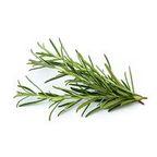 Rosemary