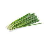 Garlic Chive