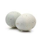 duck egg