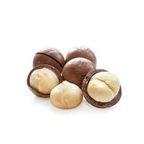 Bulk or Retail pack Macadamia