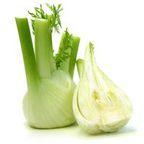 Fennel