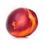 Fresh Nectarine