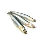 Anchovies