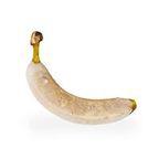 Cavendish Banana