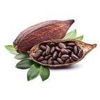 Cocoa beans
