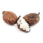 Organic Shea Nut