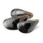 Marinated Mussels