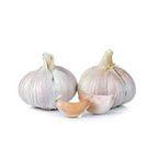 Garlic -Allium Sativum-