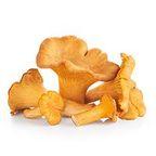 Chanterelle Mushroom