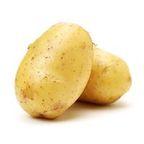 common potato