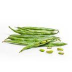 Fresh Common Bean