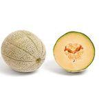 Fresh Whole Galia Melon