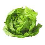 Lettuce