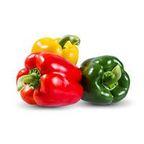 Organic Sweet and Sour Peppers, Made in Italy