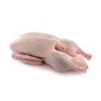 Frozen Goose Meat