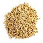 Oat
