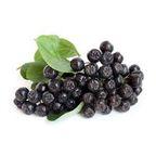 Aronia