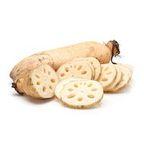 Lotus Root