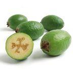 Feijoa