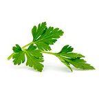 Parsley