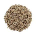 Cumin Seed