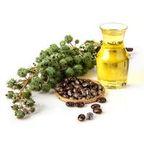 Castor Oil