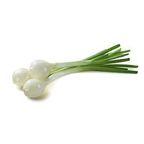 Scallion