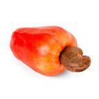 Cashew apple