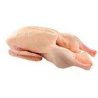 Duck Meat