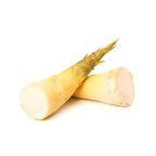 Bamboo Shoot