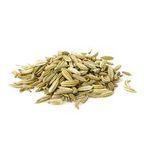 Fennel Seed