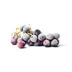 Grape pulp