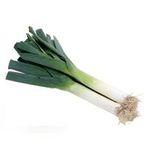 Green Chinese Onion