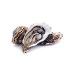 Dried Oyster