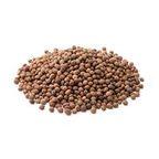 Vetch