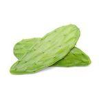 Cactus Tortilla