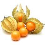 Fresh Cape Gooseberry