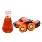 Crude Palm Oil