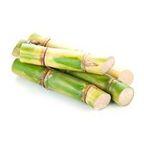 Sugarcane