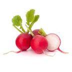 Radish