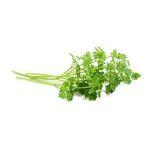 Chervil