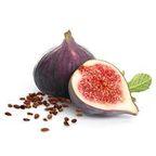 Fig Seed