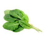 Sorrel