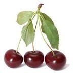 IQF Sour cherry