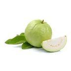 Guava